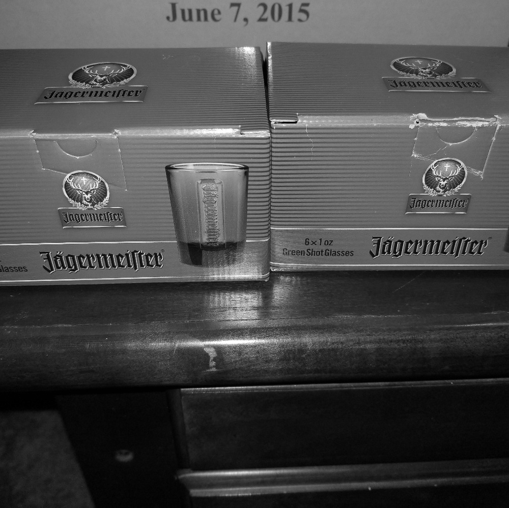 Jagermeister shot glasses NIB